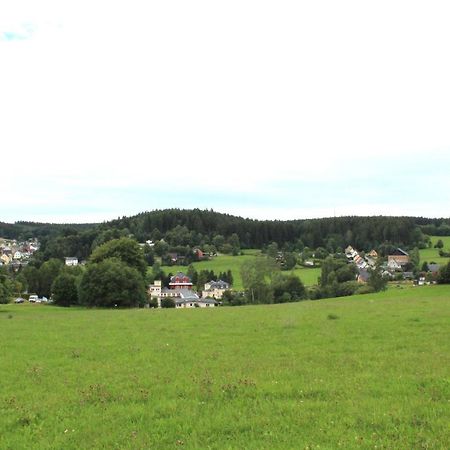 Ferienwohnung Greifenbach, Gartennutzung, Haustiere Willkommen Geyer Exteriör bild