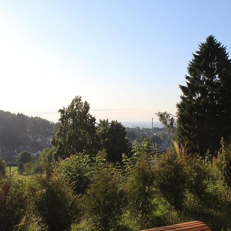 Ferienwohnung Greifenbach, Gartennutzung, Haustiere Willkommen Geyer Exteriör bild