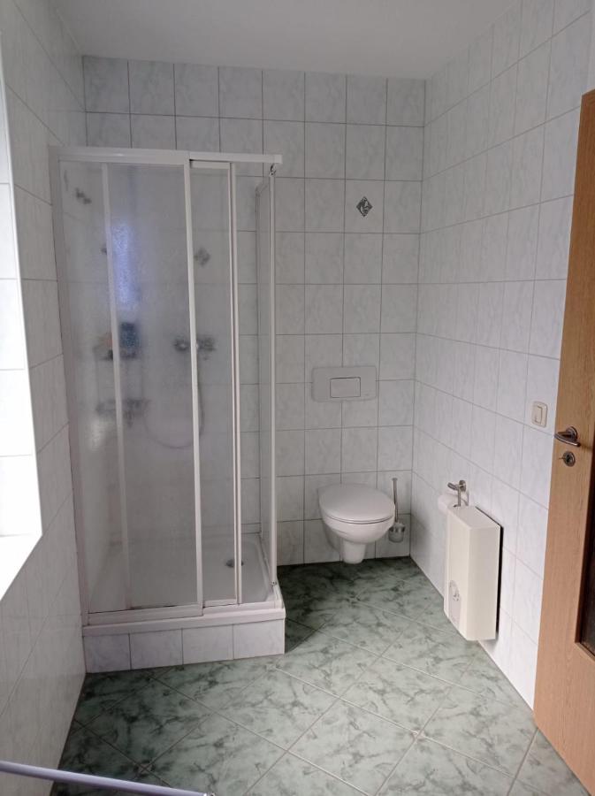 Ferienwohnung Greifenbach, Gartennutzung, Haustiere Willkommen Geyer Exteriör bild