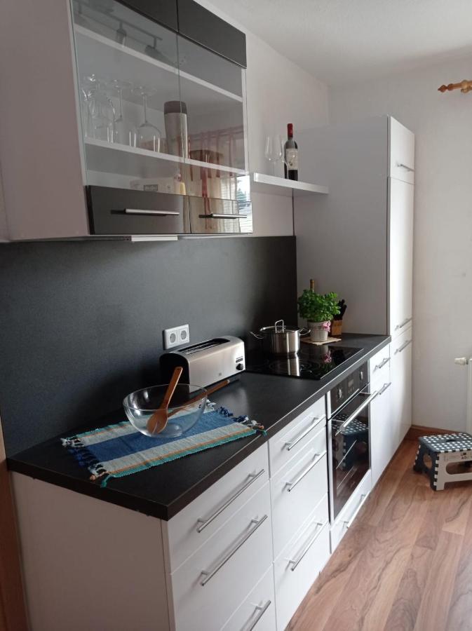 Ferienwohnung Greifenbach, Gartennutzung, Haustiere Willkommen Geyer Exteriör bild