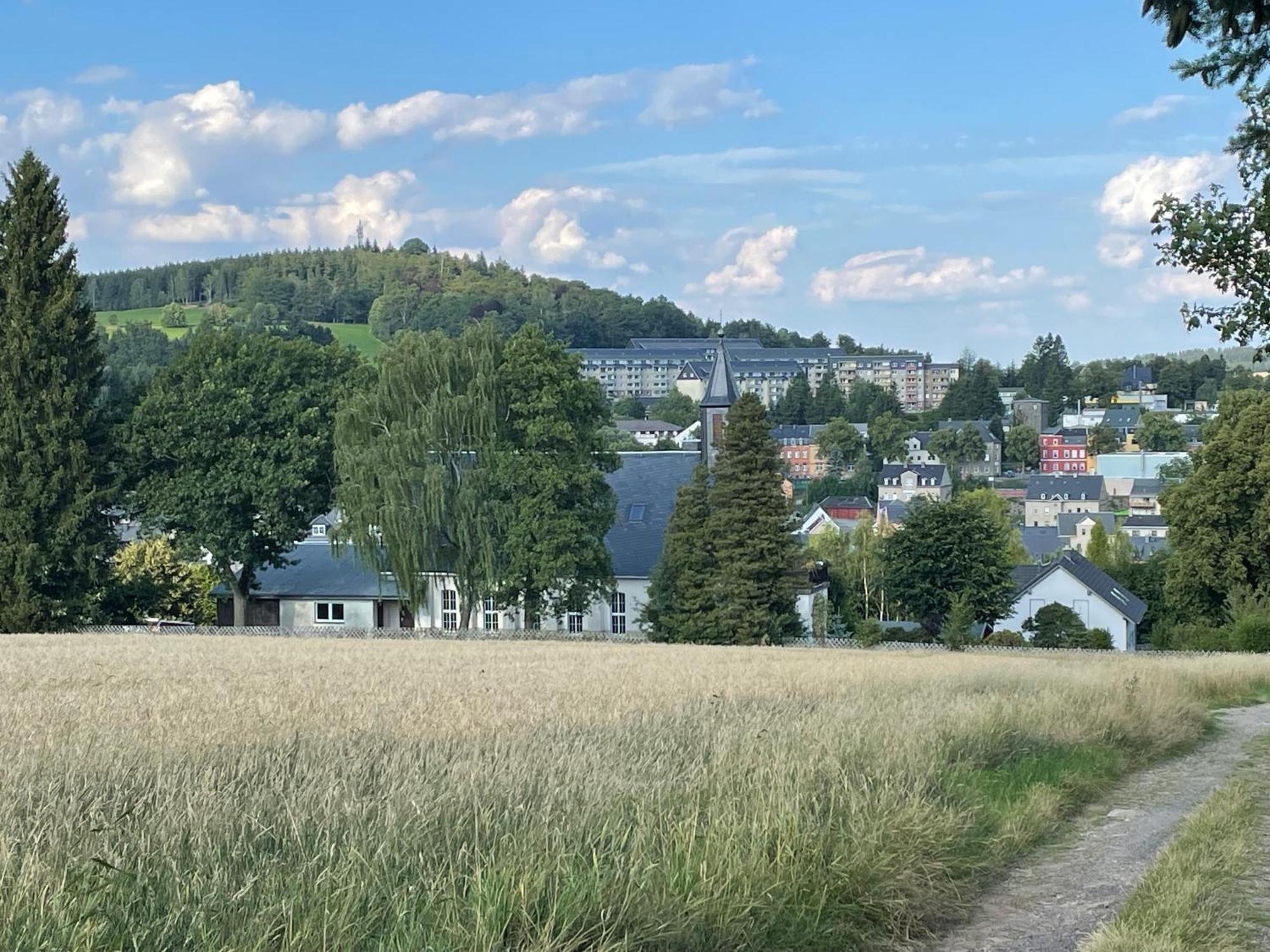 Ferienwohnung Greifenbach, Gartennutzung, Haustiere Willkommen Geyer Exteriör bild