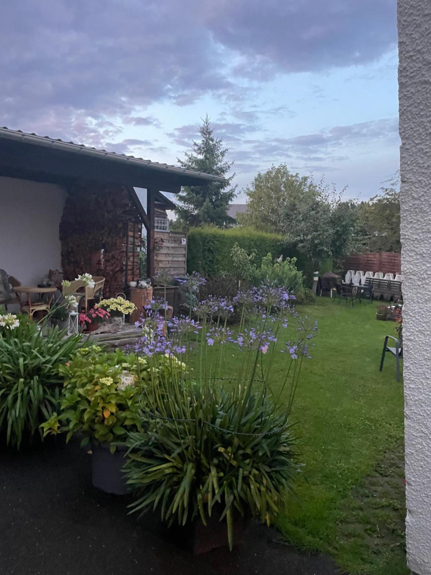 Ferienwohnung Greifenbach, Gartennutzung, Haustiere Willkommen Geyer Exteriör bild