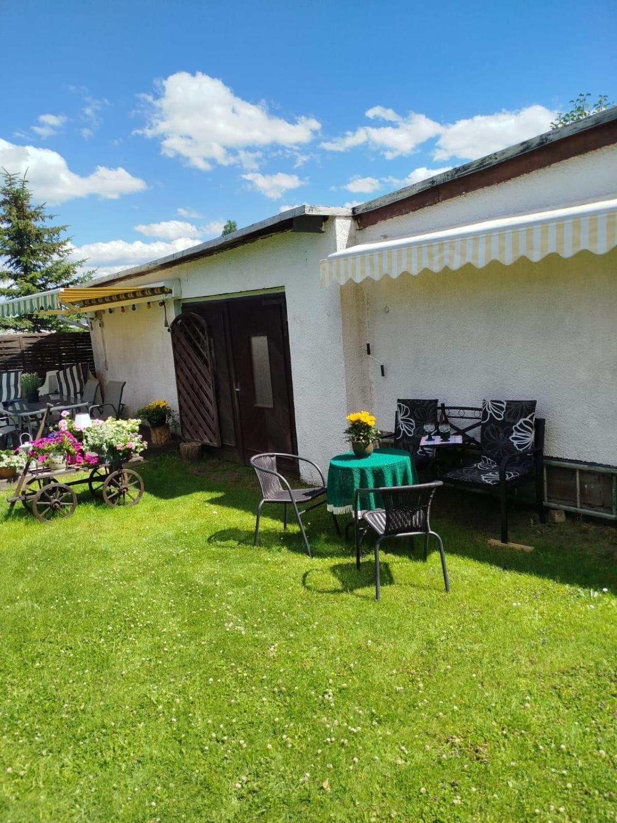 Ferienwohnung Greifenbach, Gartennutzung, Haustiere Willkommen Geyer Exteriör bild